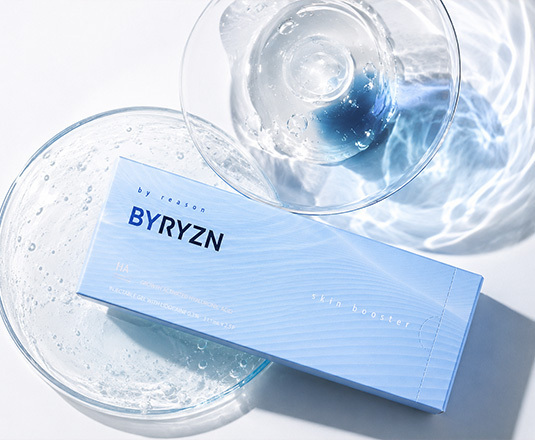 바이리즌 설명 이미지